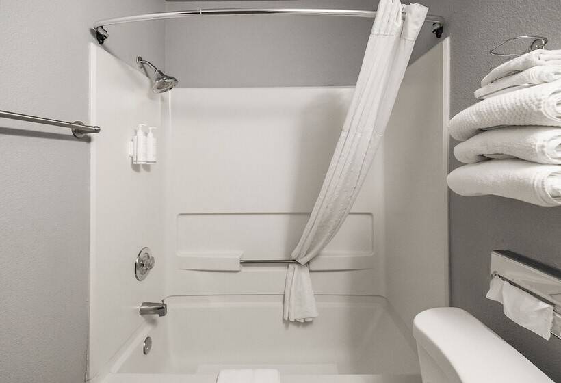 Номер Стандарт 2 Двуспальные Кровати, Sutter Inn