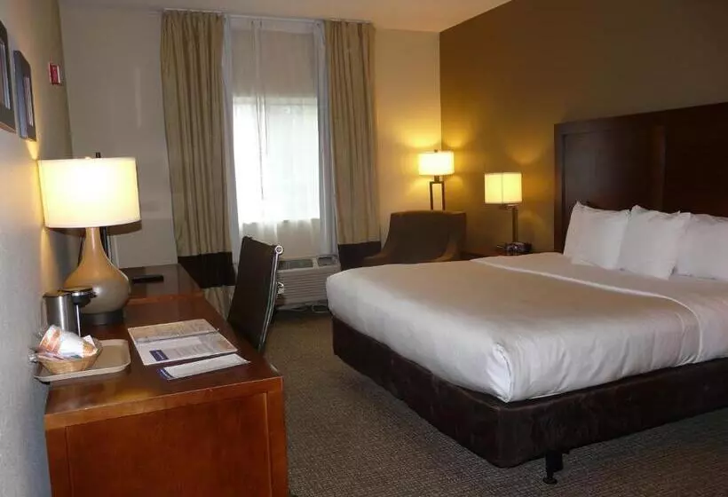 身障者適用キングサイズベッドルーム, Comfort Inn Fort Myers Northeast
