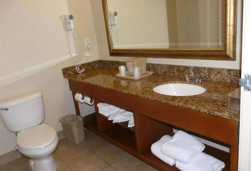 キングサイズベッドのスタンダードルーム, Comfort Inn Fort Myers Northeast