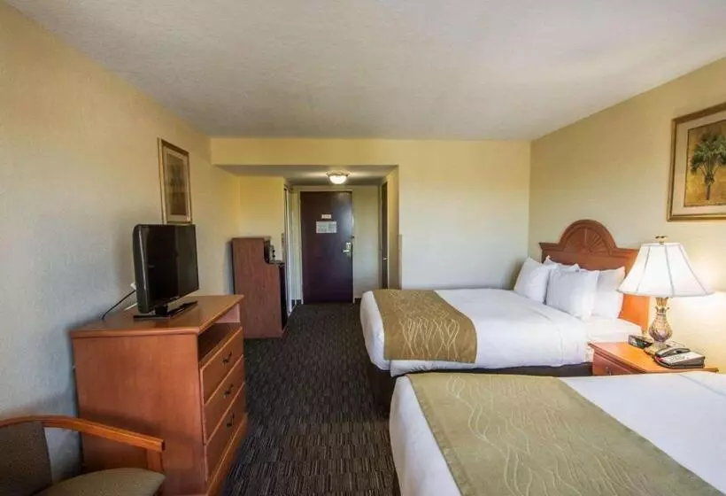 スタンダードルーム, Comfort Inn & Suites Jupiter I95