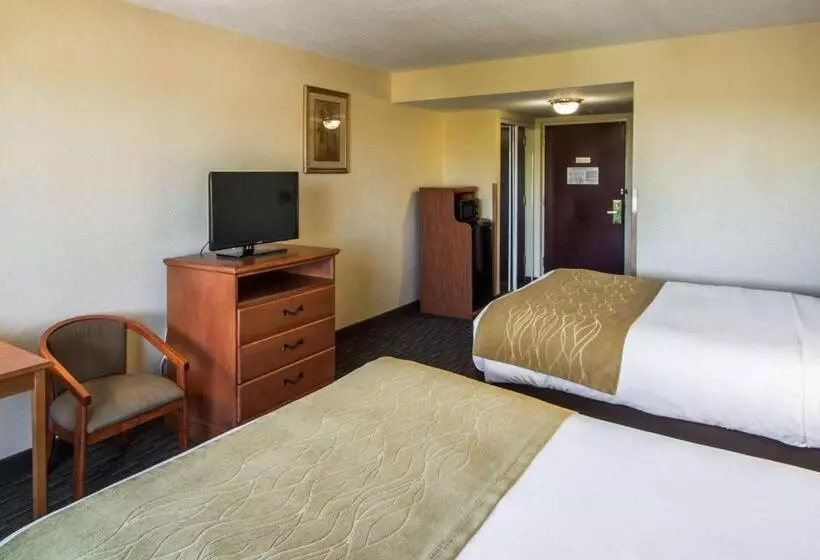 スタンダードルーム, Comfort Inn & Suites Jupiter I95