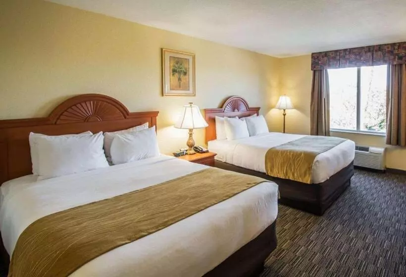 スタンダードルーム, Comfort Inn & Suites Jupiter I95