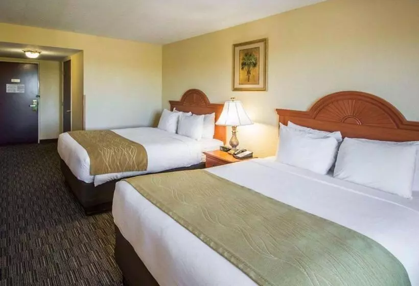 スタンダードルーム, Comfort Inn & Suites Jupiter I95