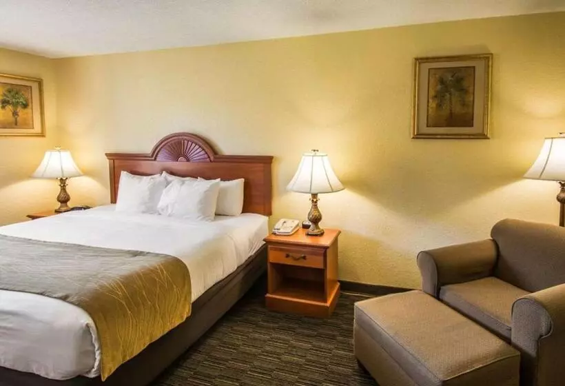 キングサイズベッドのスタンダードルーム, Comfort Inn & Suites Jupiter I95