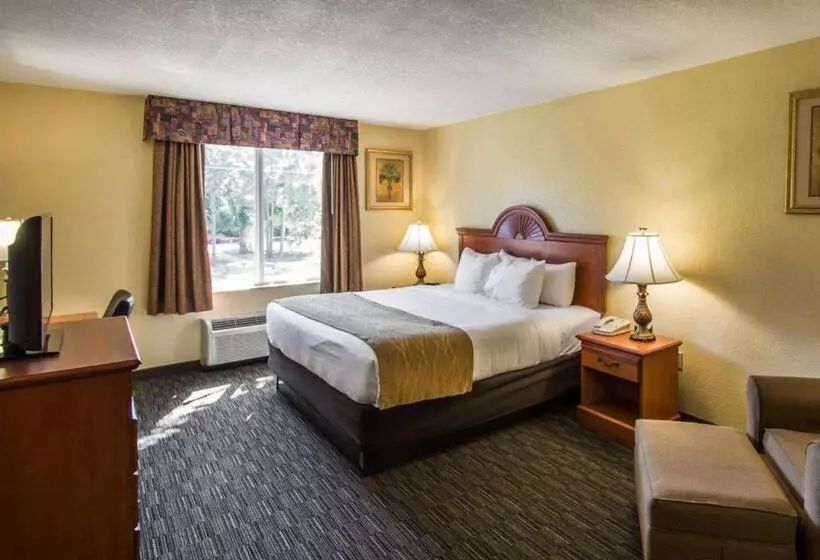 キングサイズベッドのスタンダードルーム, Comfort Inn & Suites Jupiter I95