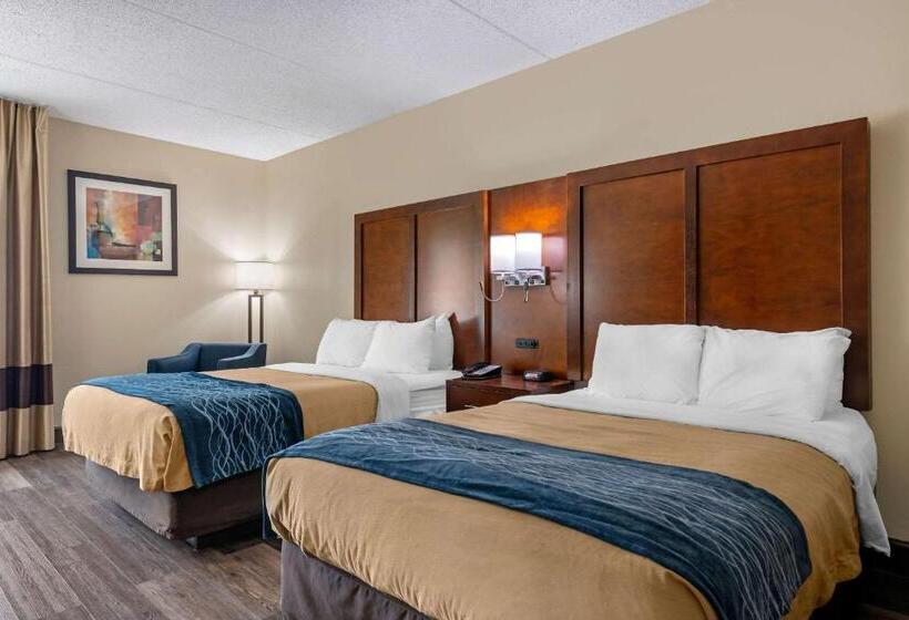 غرفه قياسيه سريرين مزدوجين, Comfort Inn Yulee  Fernandina Beach