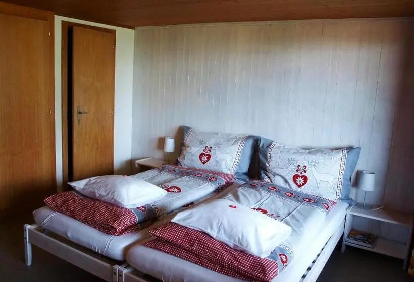 スタンダードルーム, Gasthof Engelberg