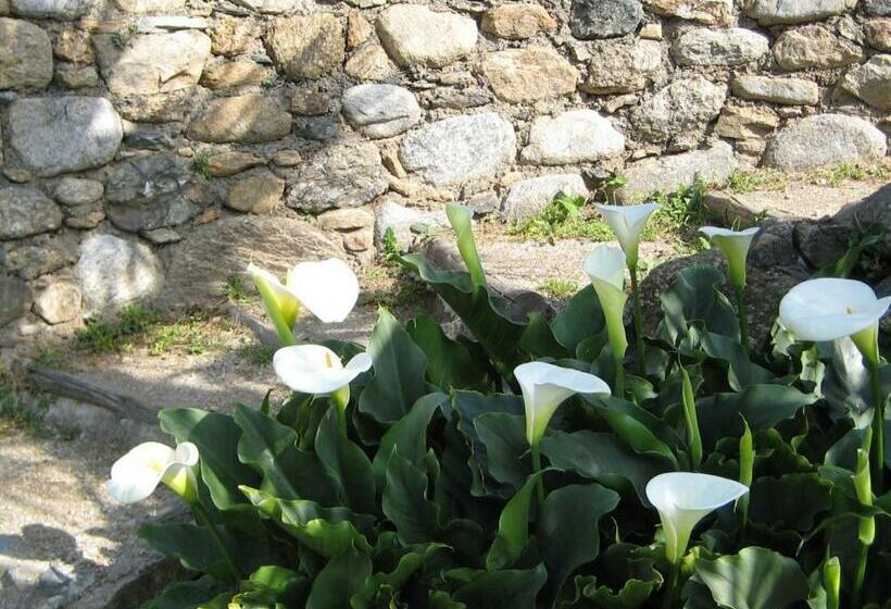 Номер Стандарт, Logis Hotel Restaurant Le Bellevue