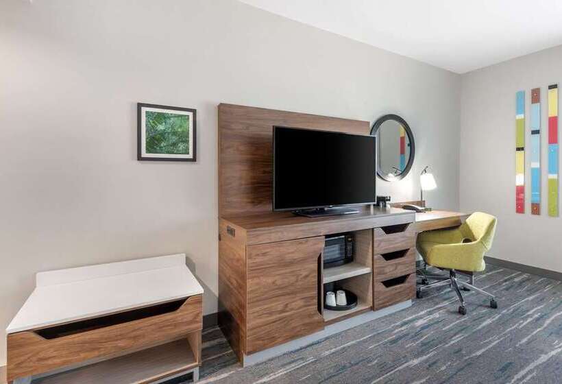 اتاق استاندارد برای معلولان, Hampton Inn & Suites Nashville Downtown Capitol View