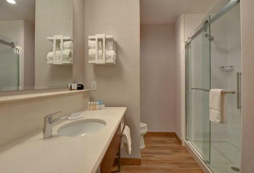 اتاق استاندارد با تخت بزرگ, Hampton Inn & Suites Nashville Downtown Capitol View