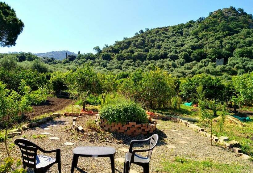 סטודיו סטנדרטי נוף לים, Agriturismo Aiolia   Panorama Eolie