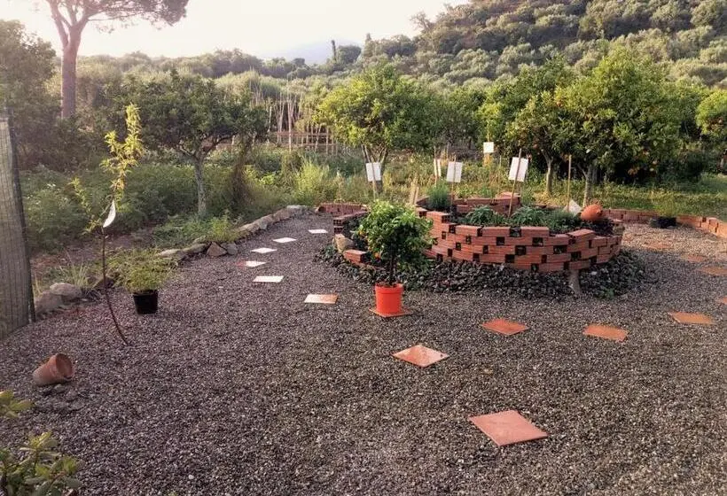 ガーデンビュースタンダードルーム, Agriturismo Aiolia Panorama Eolie
