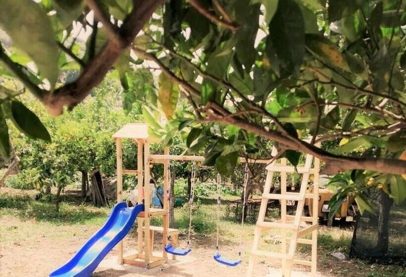 סטודיו משפחתי, Agriturismo Aiolia   Panorama Eolie