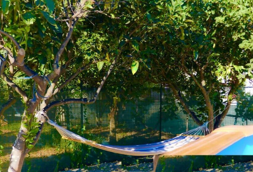 סטודיו סטנדרטי נוף לים, Agriturismo Aiolia   Panorama Eolie