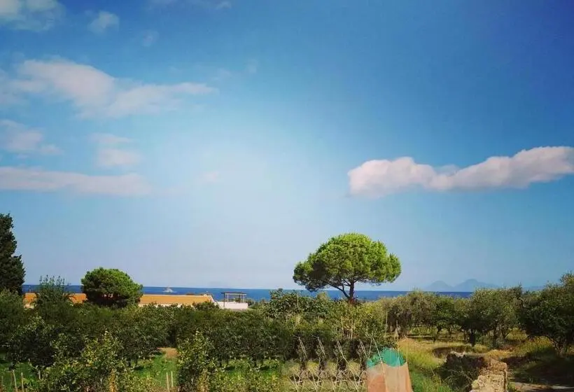 海の見えるスタンダードスタジオ, Agriturismo Aiolia Panorama Eolie