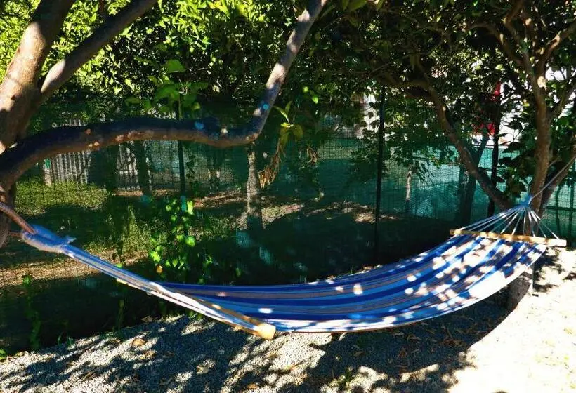 ガーデンビュースタンダードルーム, Agriturismo Aiolia Panorama Eolie