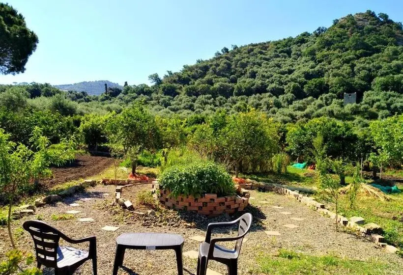 ファミリーステューディオ, Agriturismo Aiolia Panorama Eolie