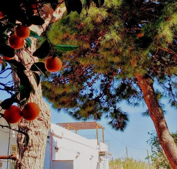ファミリーステューディオ, Agriturismo Aiolia Panorama Eolie