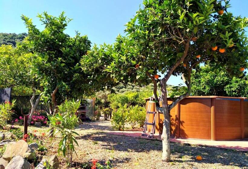 חדר קומפורט לשלושה, Agriturismo Aiolia   Panorama Eolie