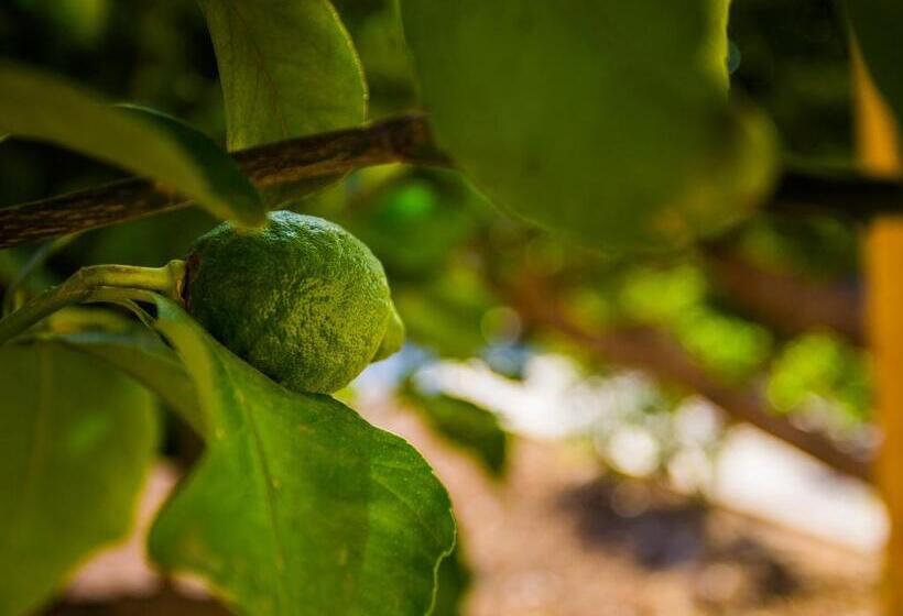 4인용 스탠다드 룸, Casa Dei Carrubi