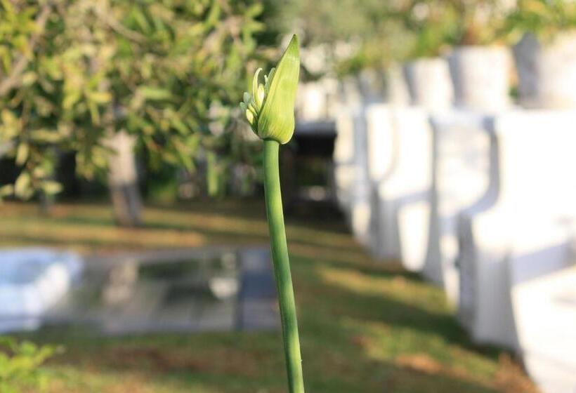 Номер Deluxe Вид на Море, Agapanto Luxury Accommodation