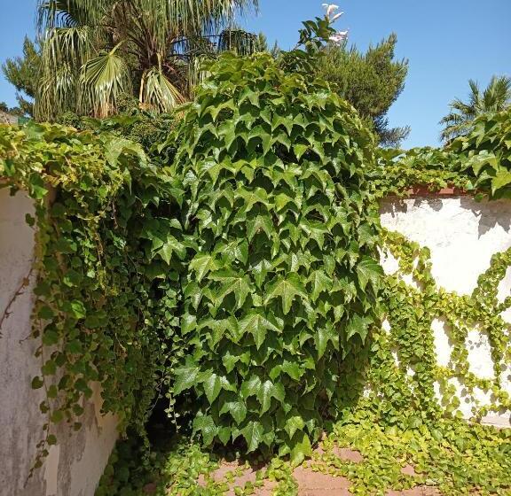 غرفة قياسية سرير كينج, Villa Grande