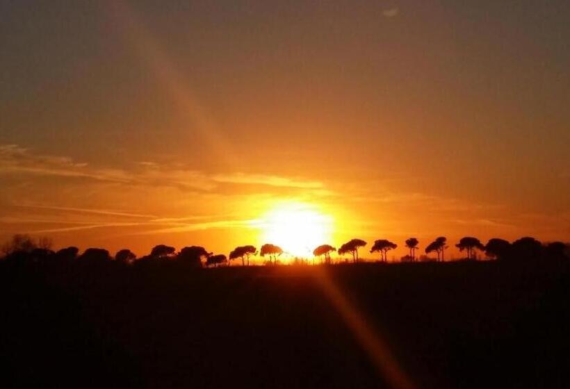 Deluxe Szoba, Tramontodivino B&b