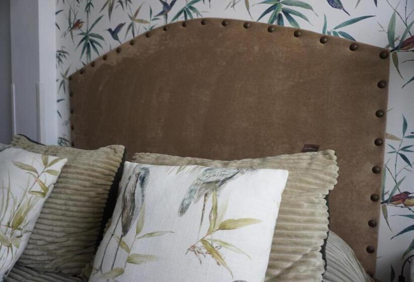 Номер Superior, Rompeolas Playa