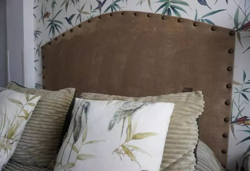 Superior-Zimmer, Rompeolas Playa