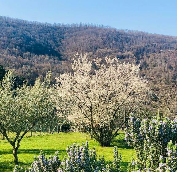 شقة غرفة واحدة, Agriresort La Noce Di Francesca