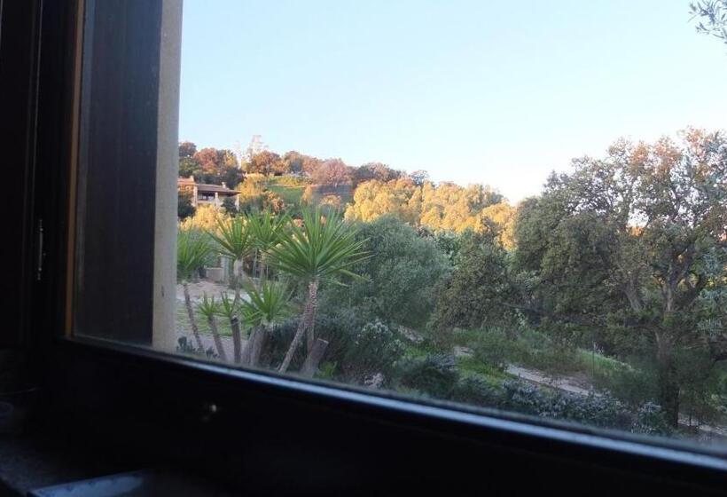 חדר סטנדרט מותאם לאדם עם מוגבלויות, Suite Cucinino, Bagno, Ingresso Indipendente In Villa Vìvì