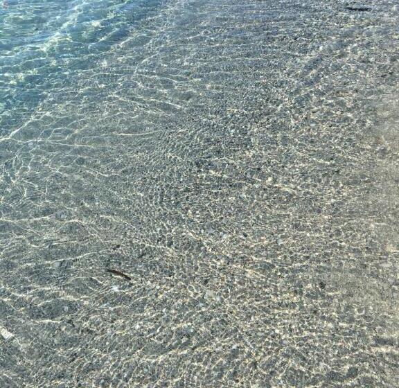 חדר סטנדרט מותאם לאדם עם מוגבלויות, Suite Cucinino, Bagno, Ingresso Indipendente In Villa Vìvì