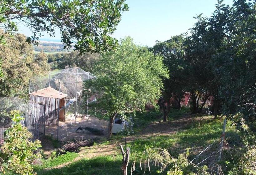 חדר סטנדרט מותאם לאדם עם מוגבלויות, Suite Cucinino, Bagno, Ingresso Indipendente In Villa Vìvì