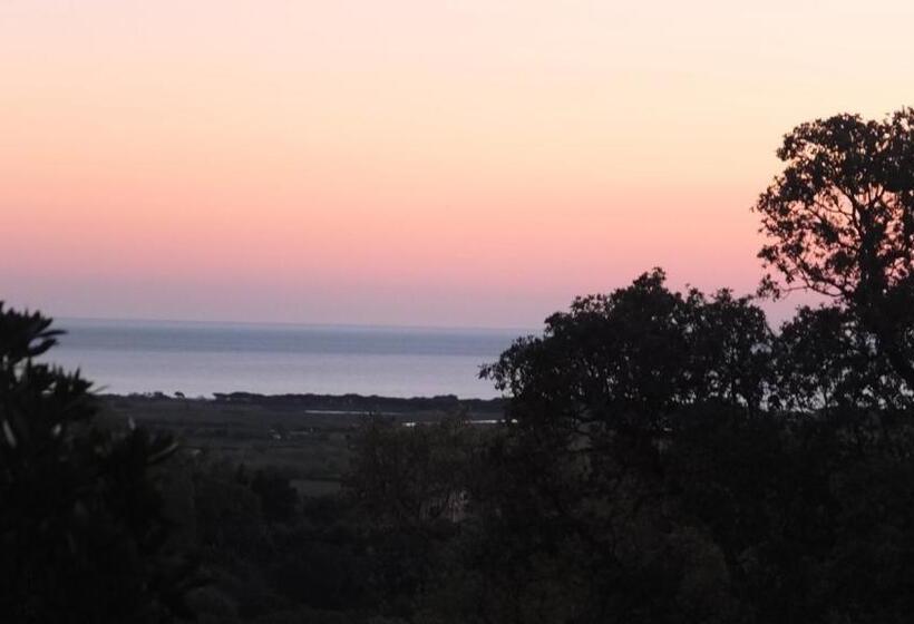 חדר סטנדרט מותאם לאדם עם מוגבלויות, Suite Cucinino, Bagno, Ingresso Indipendente In Villa Vìvì