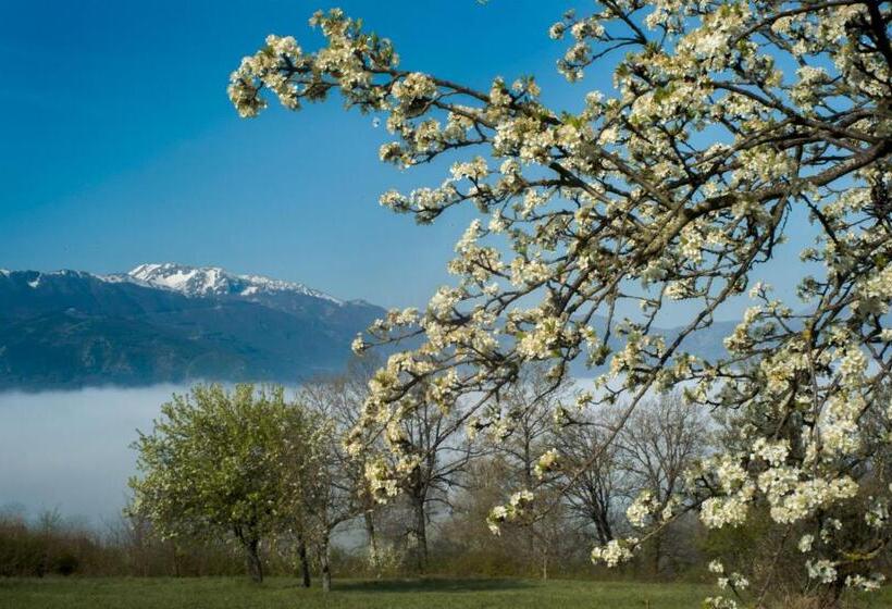 جناح, Boutique Hotel Palazzo Corso Umberto