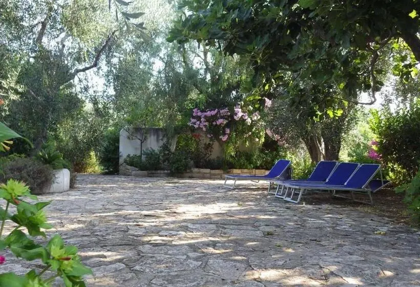 スタンダードルーム, B&b Masseria Liberatore