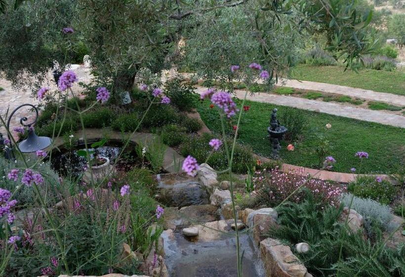 スタンダードルーム, Villarose