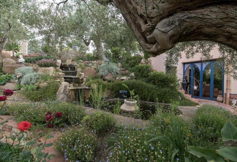 スタンダードルーム, Villarose