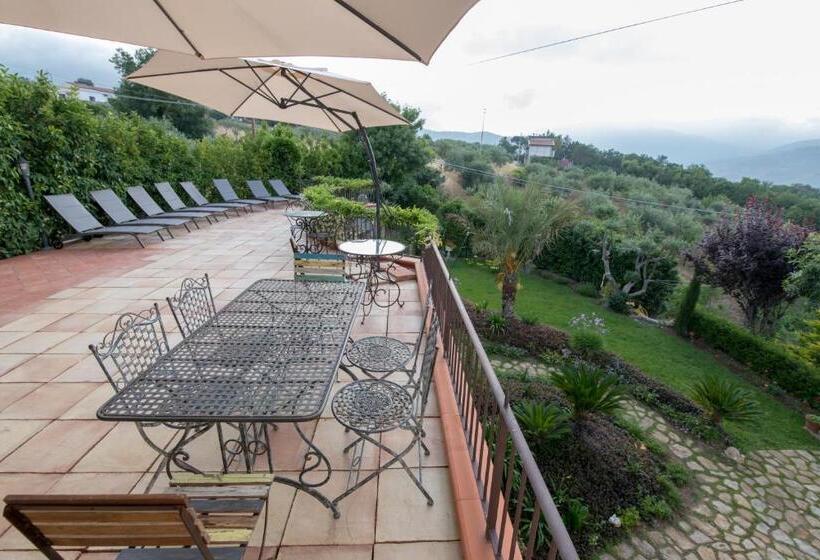 スタンダードルーム, Villarose