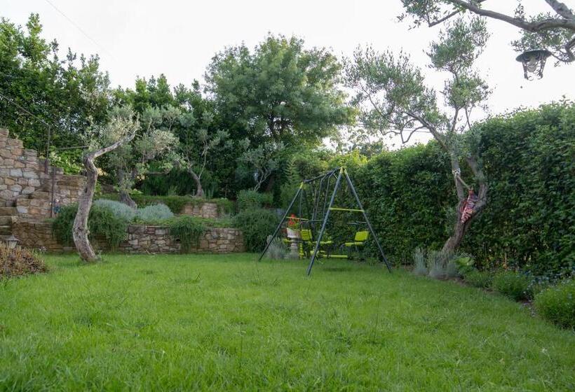 スタンダードルーム, Villarose