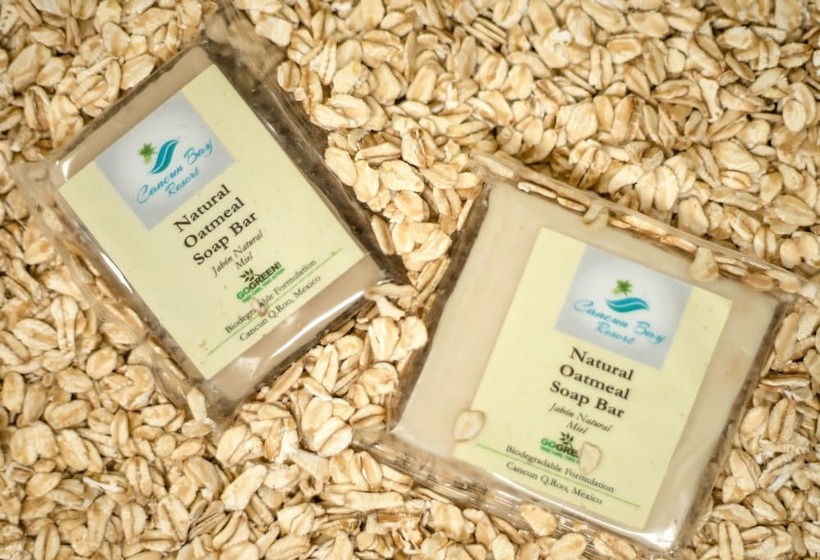 小型套房, Cancun Bay All Inclusive