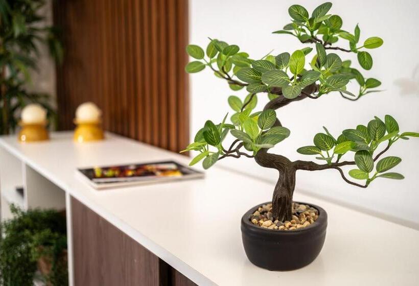 סוויטה אקזקיוטיב, Corregidor By Cassana