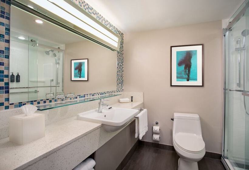 ２ダブルベッドのスタンダードルーム, Courtyard By Marriott Isla Verde Beach Resort