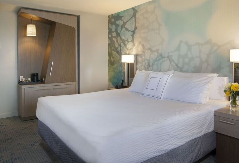 海の見えるダブルベッドスタンダードルーム, Courtyard By Marriott Isla Verde Beach Resort