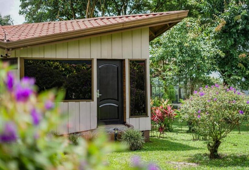 주니어 스위트, Montana De Fuego All Inclusive