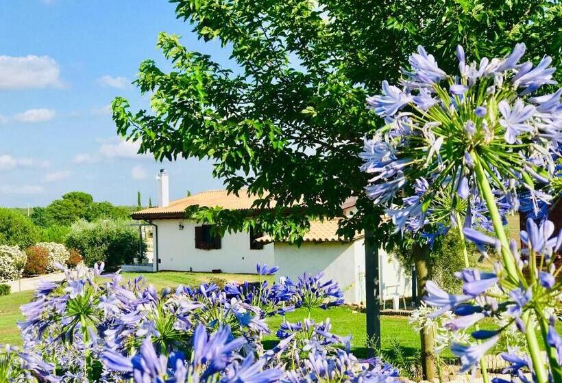 Стандартный Номер Кровать Кинг, La Collina Delle Fonti