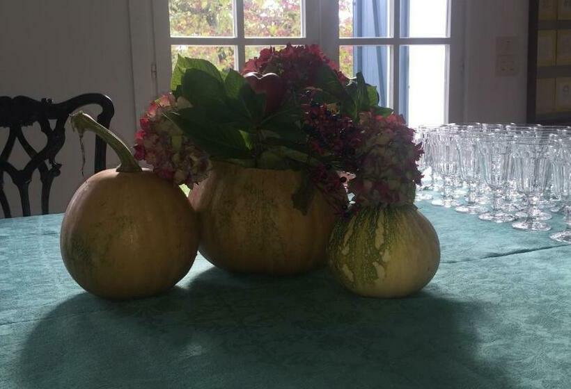 Полулюкс Вид на Сад, Le Querce