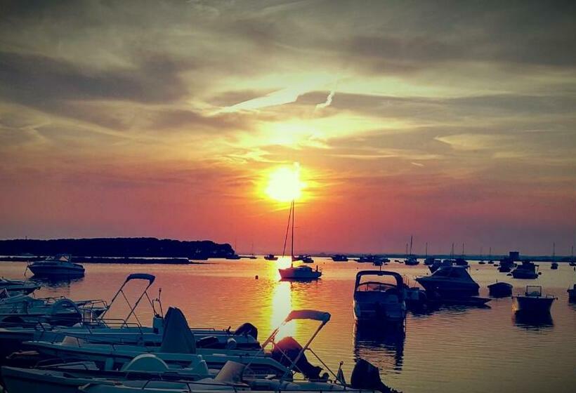 اتاق استاندارد, Riva 33