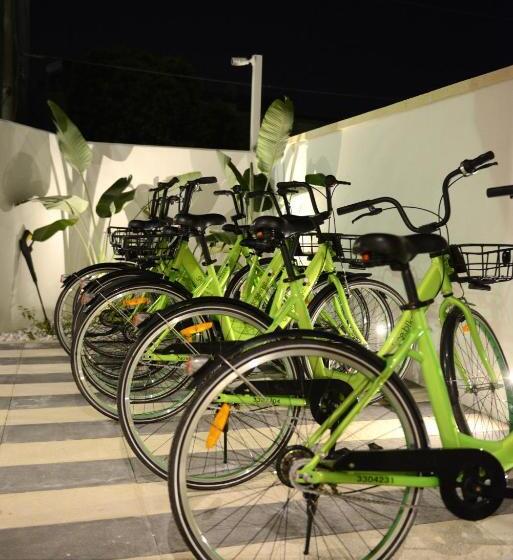 اتاق استاندارد چهار تخته, Riva 33