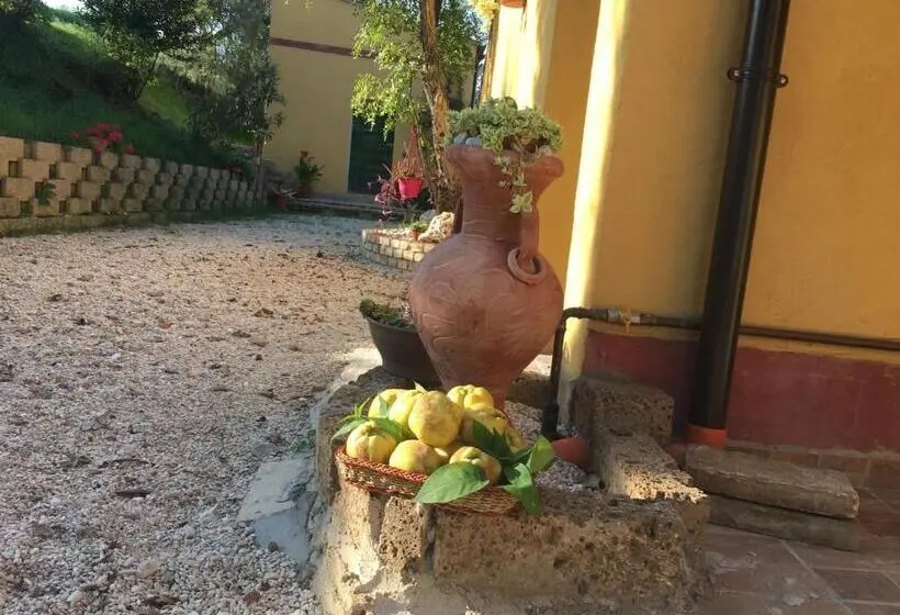 プールビュースタンダードステューディオ, Agriturismo Fattoria Del Colle